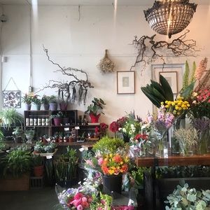 Meet your Posher, Gigi